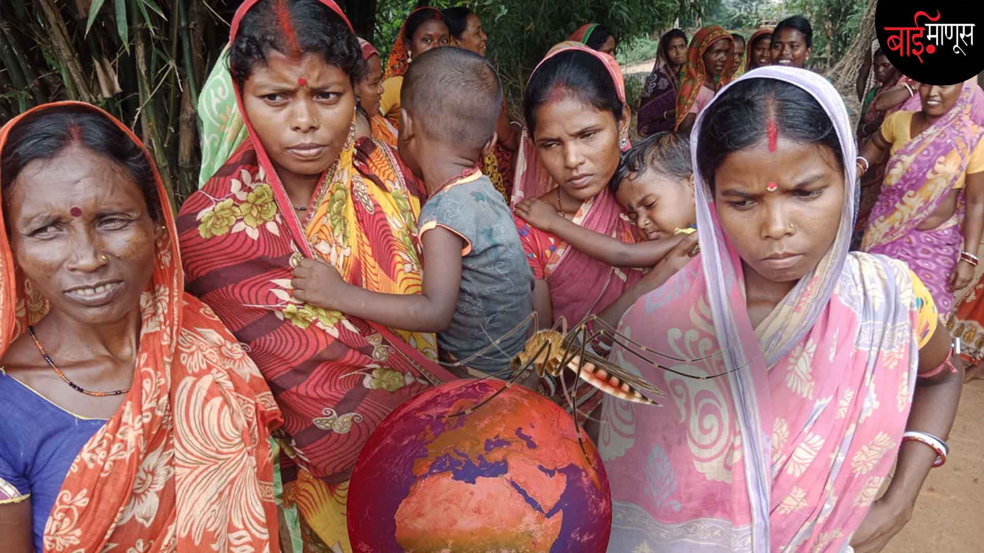 ‘’मलेरियाने माझा मुलगा अन् नवरा बी मेला’’... गडचिरोलीमध्ये तापमान बदलाचा आणि डासांचा काय आहे संबंध?